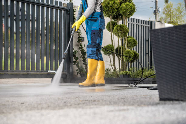Best Fence Cleaning  in Panther Valley, NJ
